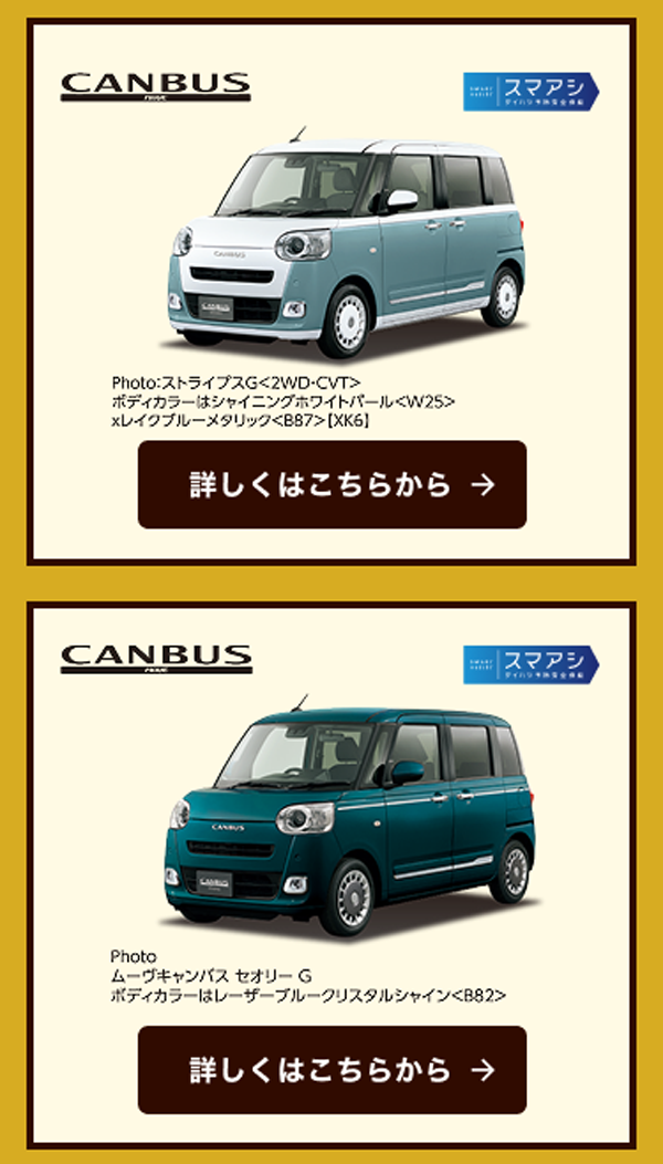 キャンバスストライプス・キャンバスセオリー